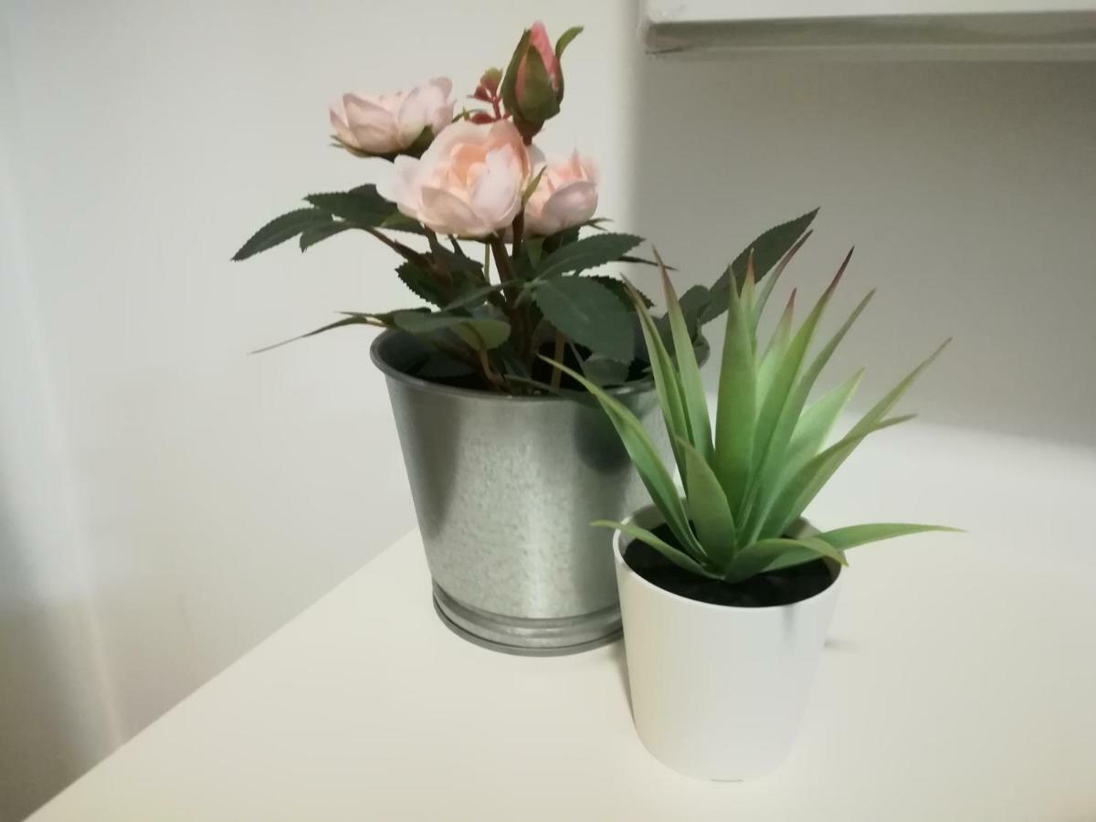 פומבל Iris Apartment מראה חיצוני תמונה